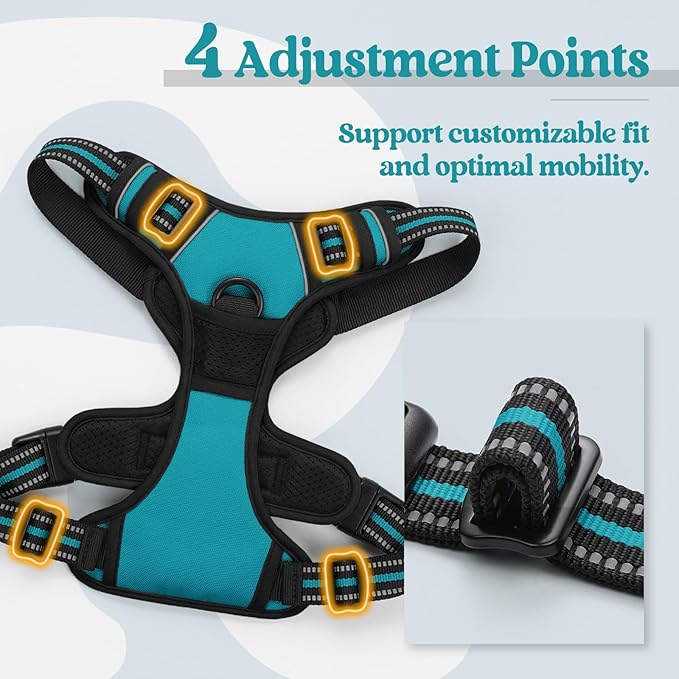 rabbitgoo Dog Harness No Pull with 2 Leash Clips, Adjustable Soft Padded, Reflective Oxford No Choke Pet Vest with Easy Control Handle for Large Dogs, Teal, L | No Choke with Handle, Adjustable Soft Padded, Reflective, Easy Control for Walking, Teal, L...
