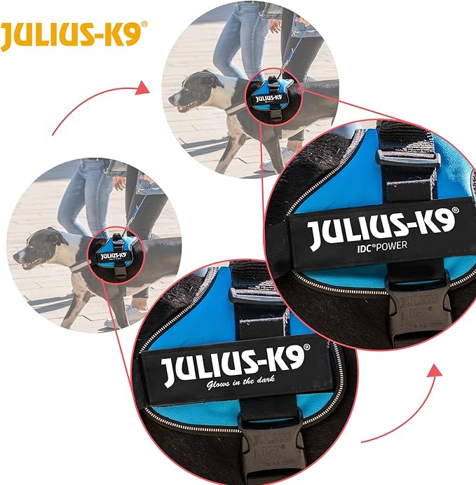Julius-K9, 162 W, K9-Power Dishes, Aquamarine, 0, Green-Blue