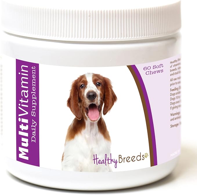 Healthy Breeds Welsh Springer Spaniel Multi-Vitamin Soft Chews 60 Count (1127-wspr-001)