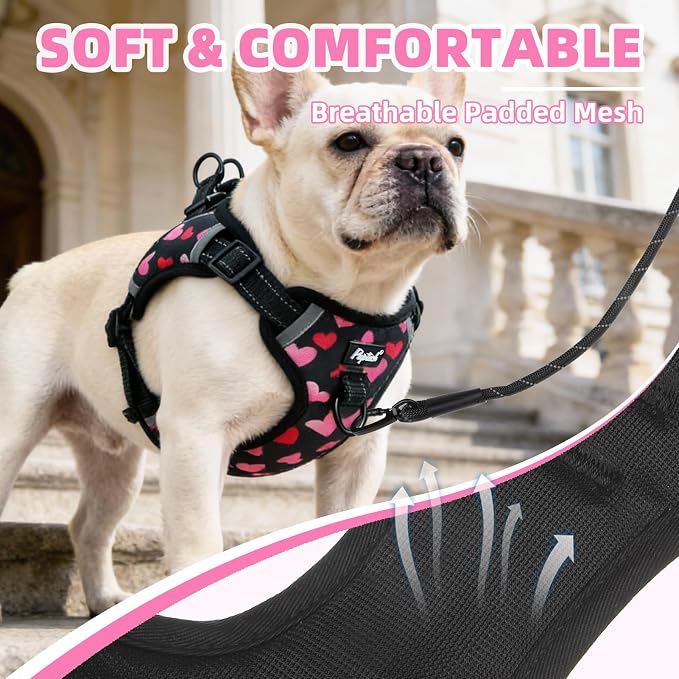 PUPTECK Dog Harness Small Sized Dog, Step in Adjustable Reflective Dog Vest Harness Escape Proof, No Pull Soft Padded Harness Easy Control, Heart, M
