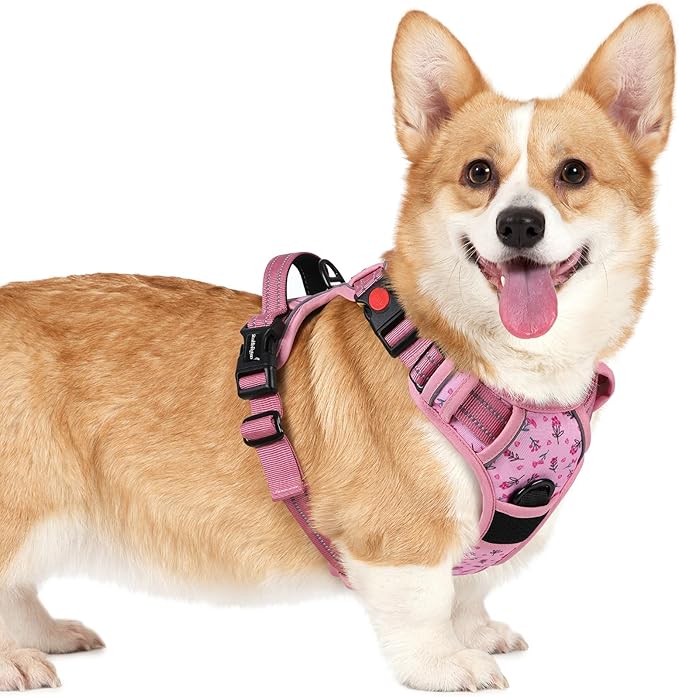 rabbitgoo Dog Harness Small Sized, Updated Easy On & Off with 3 Buckles | No Pull No Choke, Walking with 2 Clips and Handle, Adjustable Soft Reflective, Floral Pink, Small