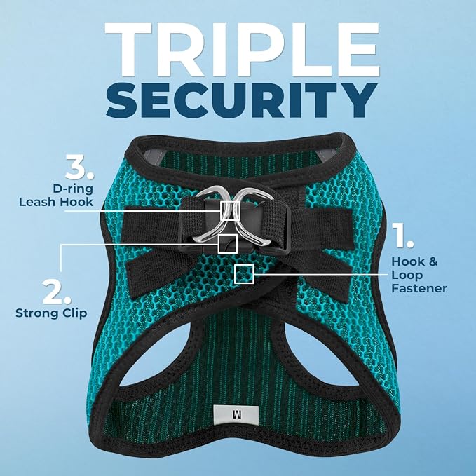 Best Pet Supplies Voyager Step-in Air All Weather Mesh Harness and Reflective Dog 5 ft Leash Combo with Neoprene Handle, for Small, Medium and Large Breed Puppies - Turquoise, XL