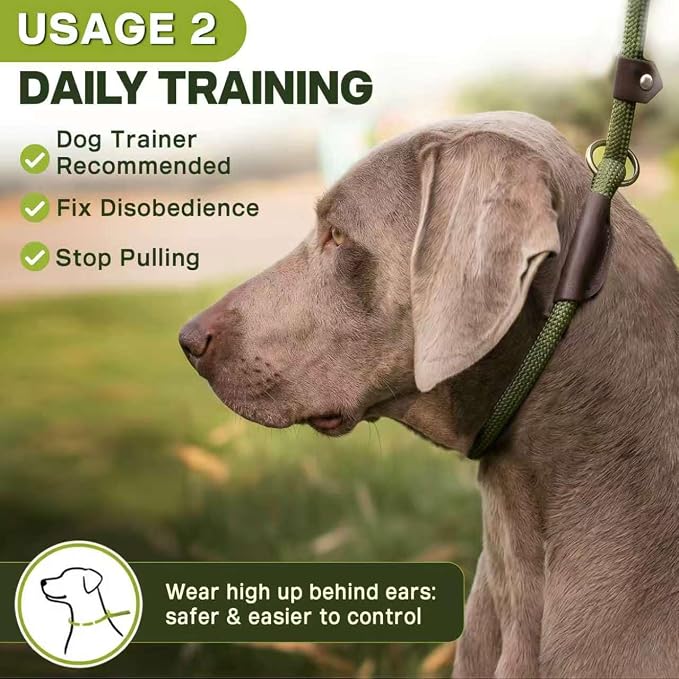 Fida Slip Leads for Dogs, 4 FT x 1/2" Dog Leash Heavy Duty Comfortable Strong Rope Lead for Large, Medium Dogs, No Pull Pet Training Leash with Highly Reflective,Green