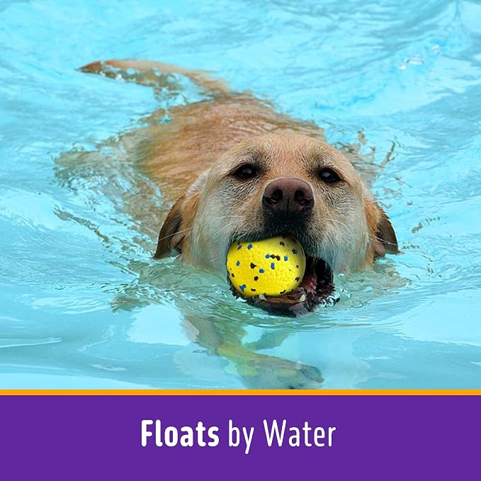 Kimee Dog Tennis Balls for Aggressive Chewers, Floating