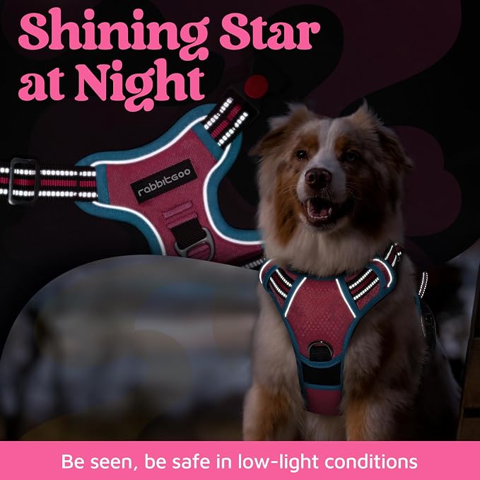 rabbitgoo Dog Harness for Large, No Pull 3 Buckles Easy On & Off | Soft Padded, Walking with Control Handle, Adjustable and Reflective, Pink & Blue, X-Large
