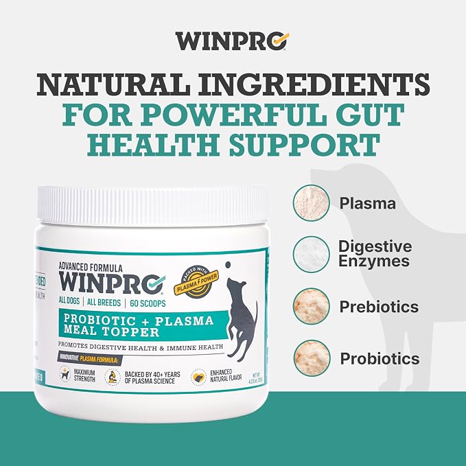 WINPRO Pet Gut Health & Probiotic + Plasma Meal Topper Bundle for Dogs (Plasma Powered Soft Chews and Meal Topper Powder for Digestive Health and Immune Health Support)