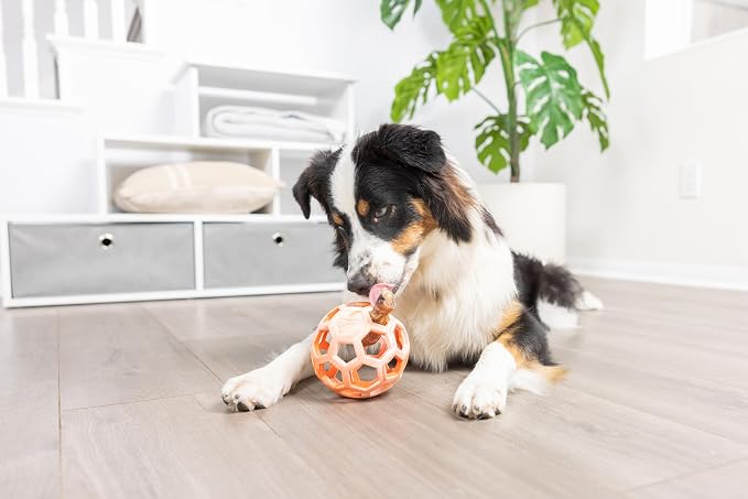 Chuckit! Holee Roller Dog Treat Puzzle Ball, Medium (2.5"), Orange – Interactive Treat & Chew Puzzle Toy for Dogs 20–60 lb – Durable Rubber Fetch Ball for Mental Stimulation – Pack of 1