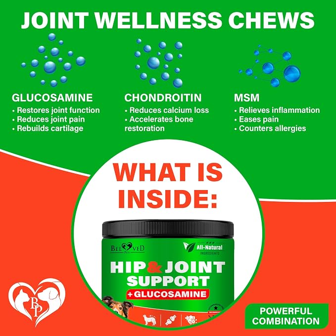 Dog Hip and Joint Supplement & Arthritis Pain Relief Treats - Glucosamine Chondroitin MSM Soft Chews for Senior Dogs - Natural Medicine & Support Mobility - Turmeric Vitamins for Dysplasia - USA