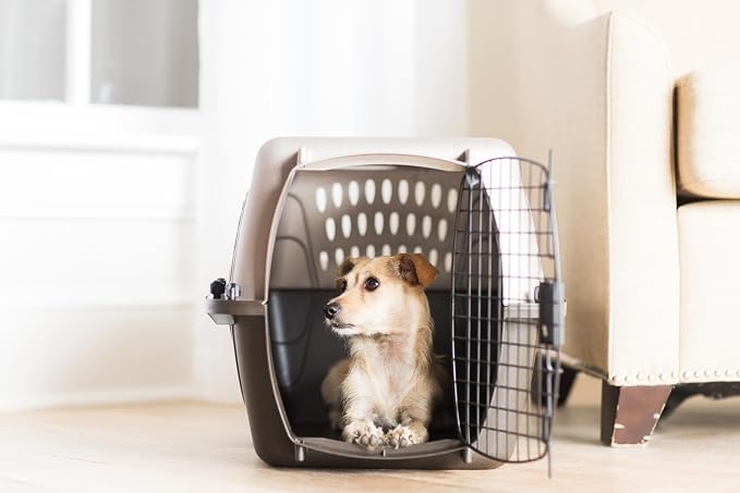 Petmate Dog Crate & Cat Carrier, 24in, Two Door, Pearl Tan