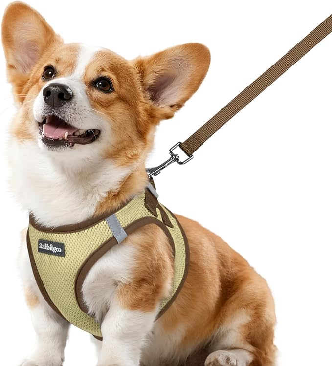 rabbitgoo Dog Harness Small Sized and Leash Set, Step in Soft Vest | Breathable Mesh, Easy Wear with Hook & Loop, Light and Reflective for Walking, Multi-colored, Beige & Coffee, L
