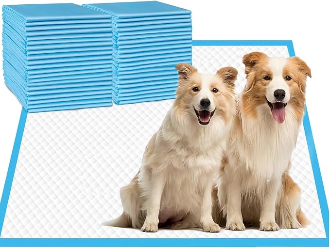 Aurora Pet Ultra-Absorbent Puppy Pee Pads – Large 24x24 Inch, Leak-Proof & Quick-Dry Potty Training Pads (40-Pack), Durable Protection for Dogs – Blue & White