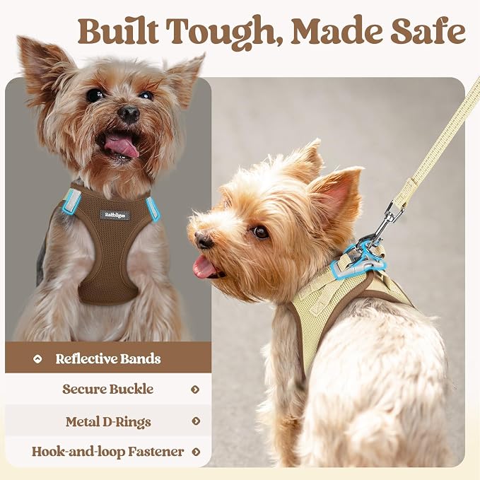 rabbitgoo Dog Harness Small Sized and Leash Set, Step-in Puppy Pet Vest | Light, Soft, Breathable Air Mesh, Easy on and Remove with Hook & Loop, Secure Reflective for Walking, Brown & Beige XXS