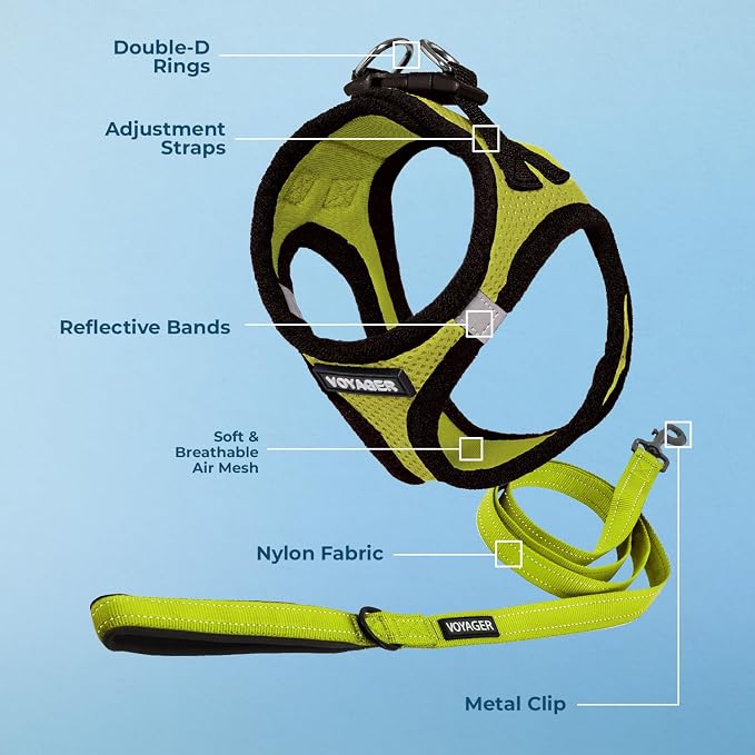 Voyager Step-in Air Dog Harness - All Weather Mesh Step in Vest Harness for Small and Medium Dogs by Best Pet Supplies - Lime Green Base, XXS