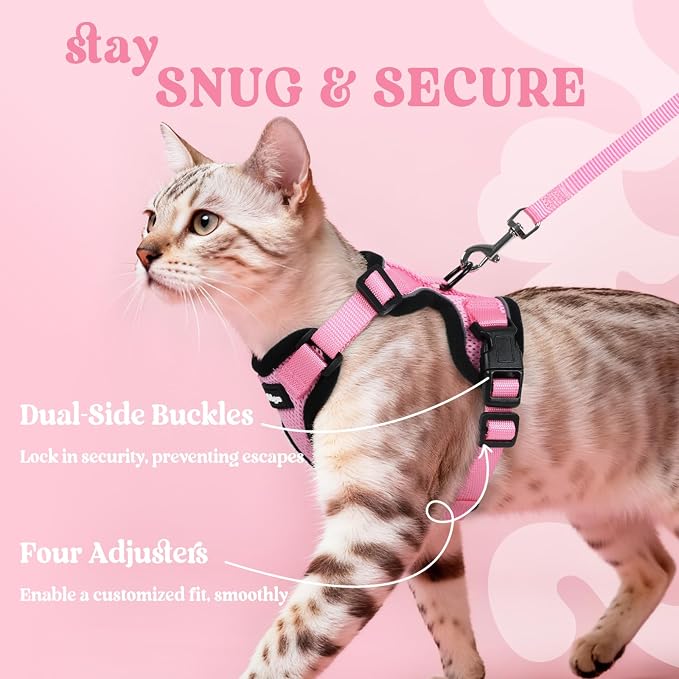 rabbitgoo Cat Harness and Leash Set, Escape Proof Vest, Pink | Soft Breathable Mesh, Easy Adjustable Fit, Snap Buckles, Sturdy Clip, Reflective Strips, for Kittens & Small Cats Walks, Xxs