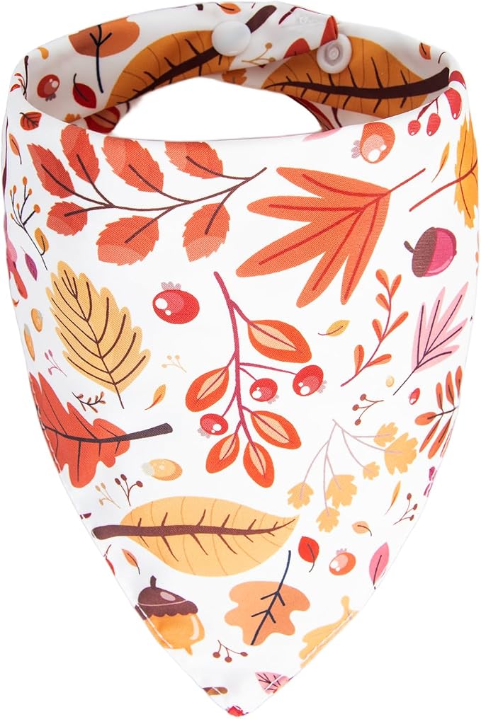 Dog Fall Bandanas, Large, Medium