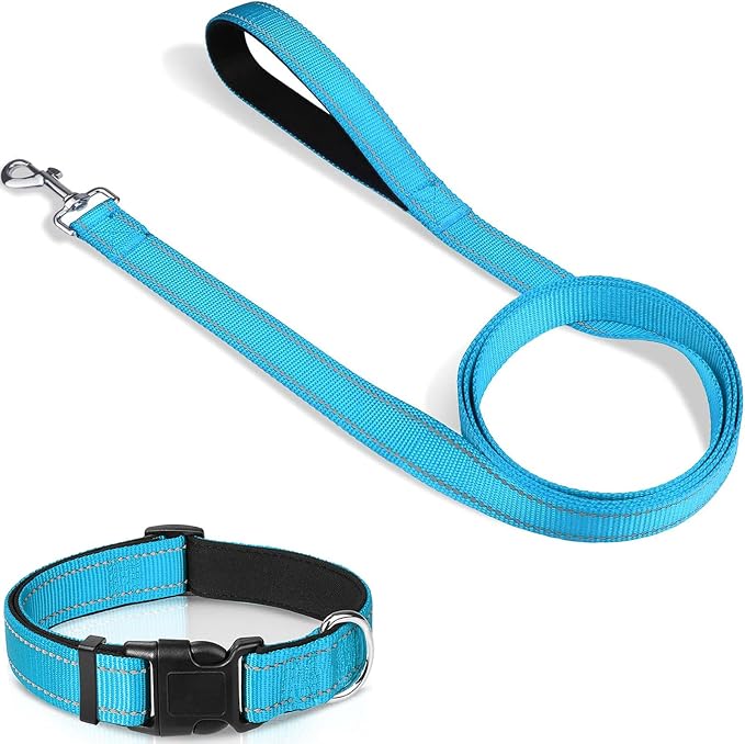 Joytale 6FT1" Dog Leash and Collar (16-24"), Reflective Soft Neoprene Padded Pet Collars and Leashes for Large Dogs, Sky Blue