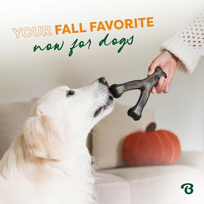 Benebone Pumpkin Spice Wishbone – Limited Edition Flavor, Durable Dog Chew Toy for Aggressive Chewers, Made in USA, Small
