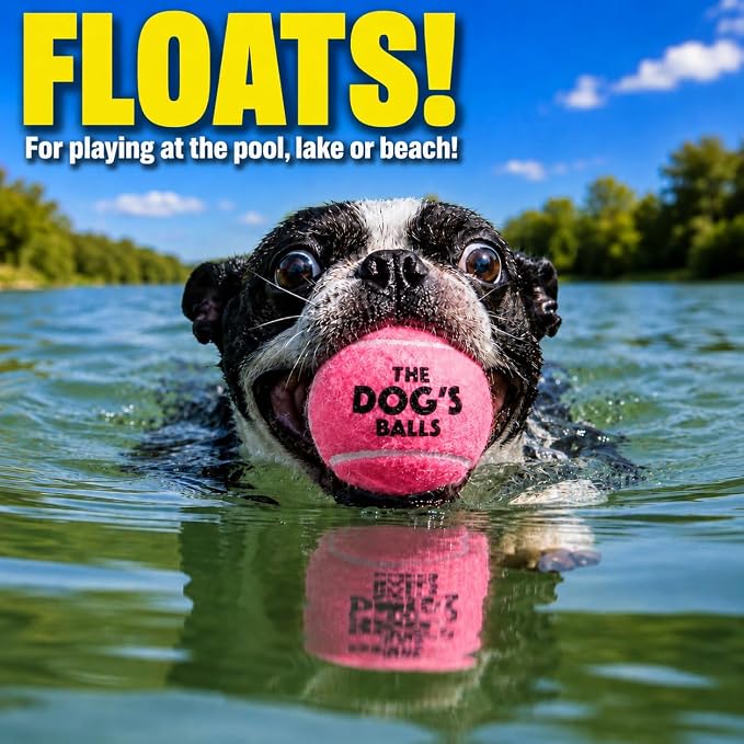 The Little Dog’s Balls Small Dog Tennis Balls 6-Pack Pink Floats in Water | Our fetch balls combine non-abrasive felt exterior and a thicker rubber core Durable Dog Toy for Outdoor Play & Training