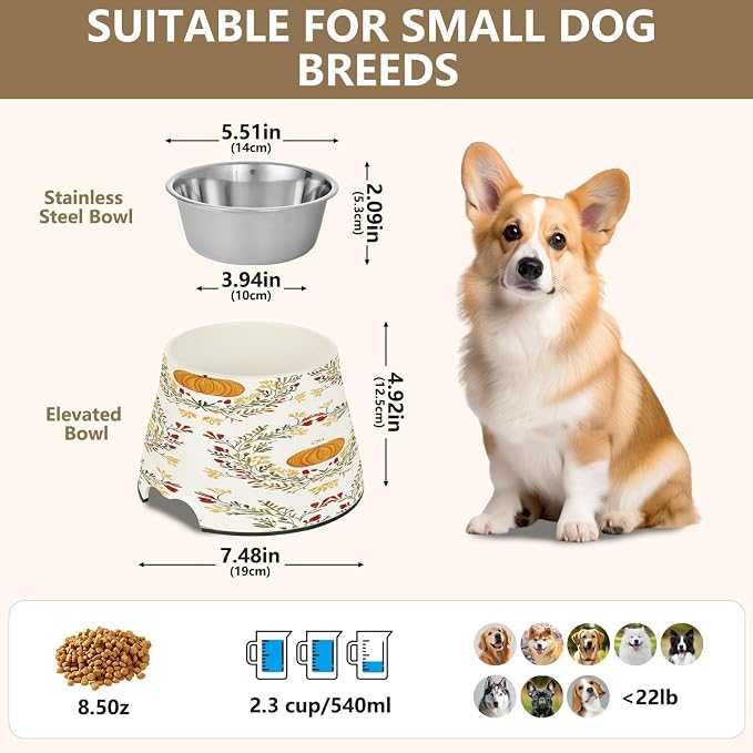 Blueangle Elevated Dog Bowls with Stainless Steel - Non-Slip 2.3 Cup High Capacity Pet Dish for Spinal Health & Pumpkins and Wreaths Design（116）