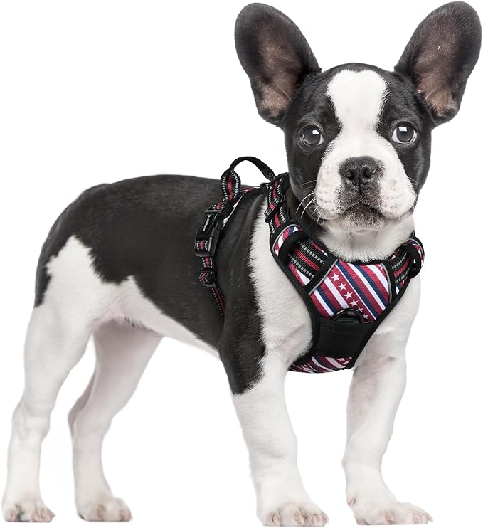 rabbitgoo Dog Harness, No Pull for Small Dogs with 2 Leash Clips, Pet Vest | No Choke with Handle, Adjustable Soft Padded, Reflective, Easy Control for Walking, Red Stripe, Small