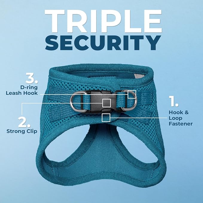 Voyager Step-in Pet Harness - All Weather Mesh, Adjustable Step in Harness for Cats and Dogs by Best Pet Supplies - 307S Turquoise, M