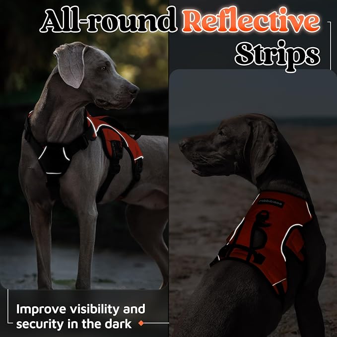 rabbitgoo Escape Proof Dog Harness for Large, No Pull with Lift Handle | No Escape, Full Soft Padded, Reflective Adjustable Vest, Leash Clip for Walking Hiking Training, Orange, Large