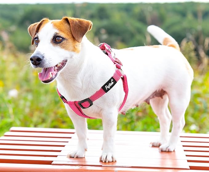 PUPTECK No Pull Dog Harness Small Sized Step-in Adjustable Puppy Vest | Soft Webbing Basic Halter with ID Tag for Outdoor Walking