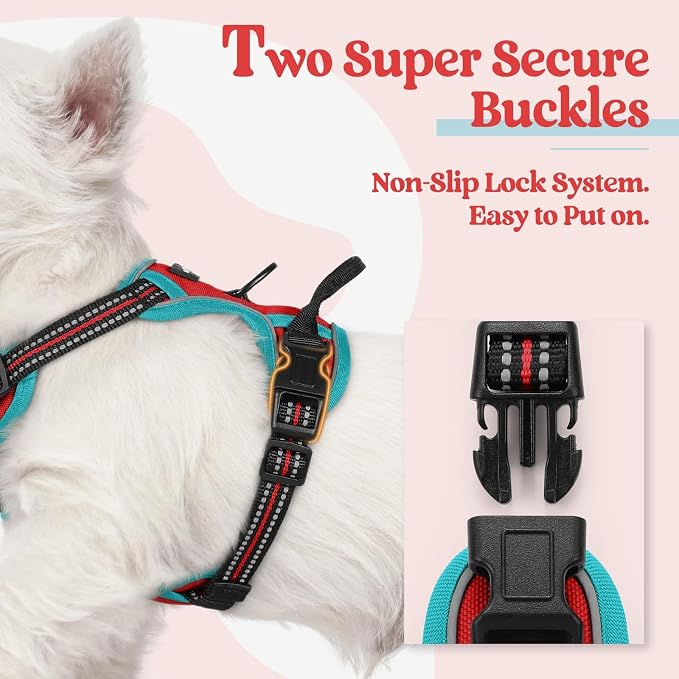 rabbitgoo Dog Harness, No Pull for Small Dogs with 2 Leash Clips, Pet Vest | No Choke with Handle, Adjustable Soft Padded, Reflective, Easy Control for Walking, Red & Teal, X-Small