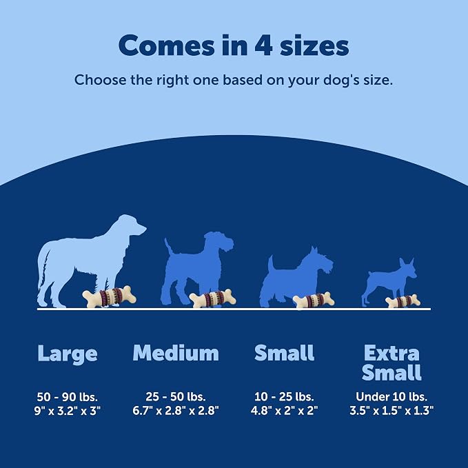 PetSafe Busy Buddy Bristle Bone, Large, Helps Keep Your Dog's Teeth Clean, Long-Lasting Playtime | Toothbrush-In-A-Toy Design Helps Clean Teeth While Dog Chews, Holds Treat Rings, Durable, Interactive Play, for Dogs 50-90 Lb