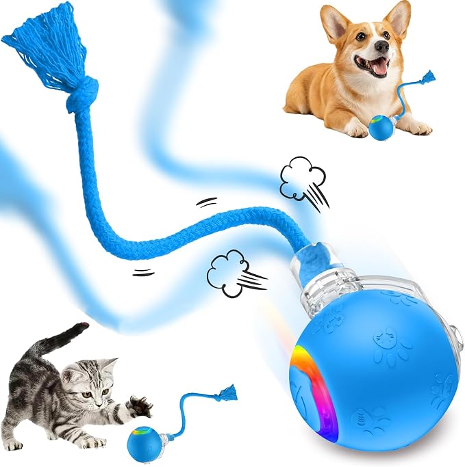 Speed 2.0 Tail Interactive Cat Toys, Rechargeable Ball for Indoor Cats | Motion-Activated Rolling Ball with Chirping Sounds, Cat Toys Interactive for Kittens and Adult Cats, Enrichment and Exercise