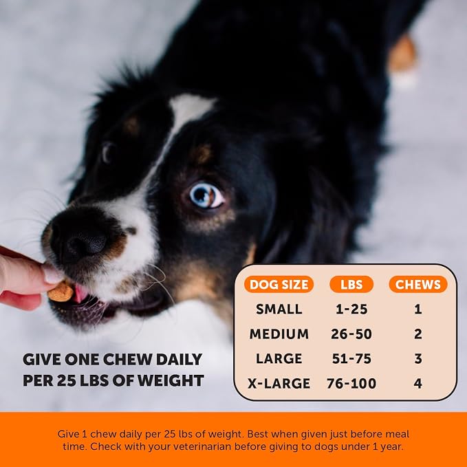 11-in-1 Advanced Hip + Joint Supplement for Dogs - Mobility Support with Glucosamine Chondroitin, Turmeric, & Green Lipped Mussel, MSM - Soothes Joint Stiffness & May Reduce Discomfort (Bacon, 90 Ct)