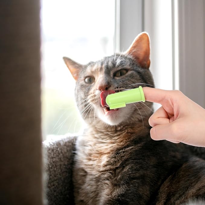 64 Packs Dog Toothbrush Soft Finger Brushes Pet Finger Easy Teeth Cleaning Dog Tooth Oral Care Pet Dental for Small Cats and Puppy