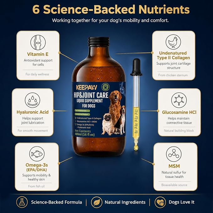 Liquid Hip & Joint Supplement for Senior Dogs 16 fl oz with Dropper