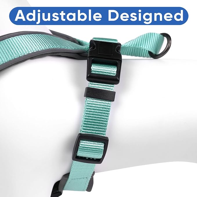 Pawtitas Reflective Padded Dog Harness for Small Dogs – Adjustable Puppy Step-in Vest | Fits Chest 18–22 in | No Pull Training Harness | S | Teal