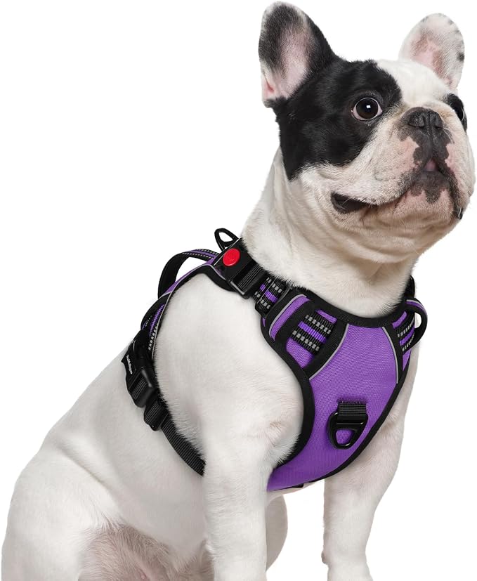 rabbitgoo Large Dog Harness, Easy Wear with 3 Buckles and Lift Handle | No Pull with Front Clip for Walking, Adjustable Soft Padded, Reflective, Easy Control, Purple, Small