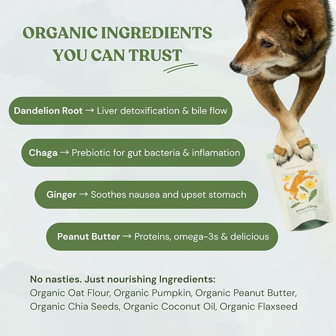 Inner Glow Digestive Dog Treats - Gut Health Support with Prebiotics, Dandelion & Chaga - Vet Formulated for Diarrhea Relief & Immune Support - Organic, Vegan, 2-Pack