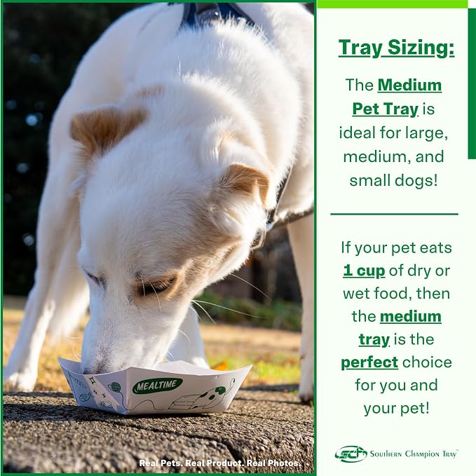 SCT Medium Disposable Pet Food Bowl, 1 Cup, 25 Count