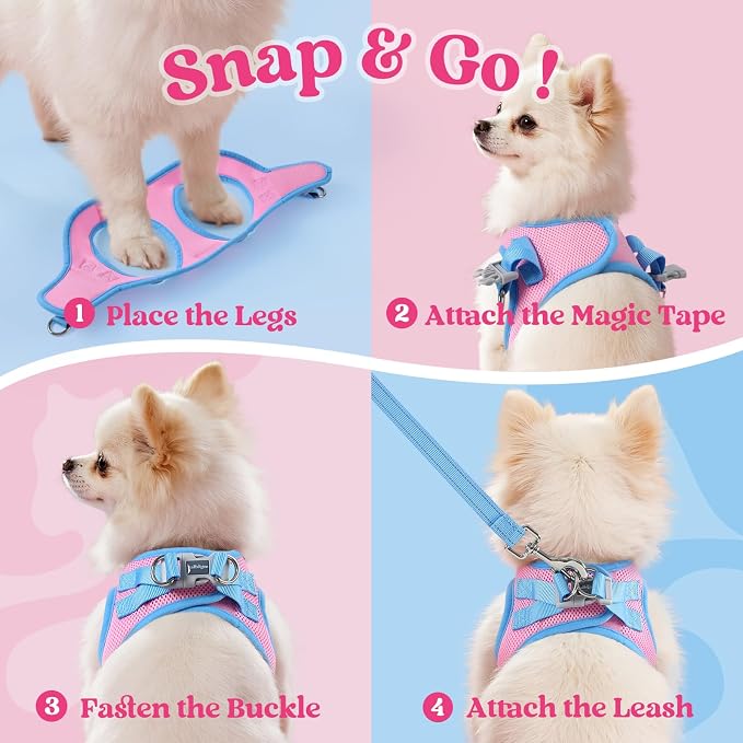 rabbitgoo Dog Harness Small Sized and Leash Set, Step in Soft Vest | Breathable Mesh, Easy Wear with Hook & Loop, Light and Reflective for Walking, Multi-colored, Pink & Blue, S