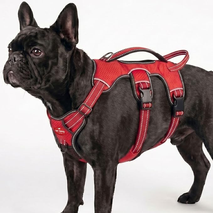 Tuff Pupper Tracker No Escape Dog Harness, Dual Attachment Points, Reflective 3M Stitching, XS - XL, March Red