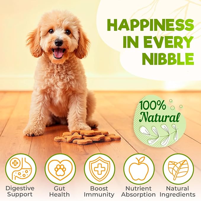 ZENO Probiotics for Dogs Chews - 150 pcs - Digestive & Gut Health Support - Probiotic Chews for Dogs with Enzymes & Natural Ingredients -US Formula - Grilled Beef