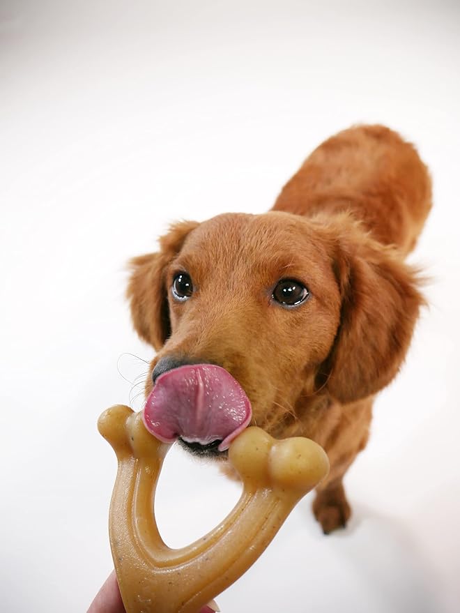 Nylabone Gourmet Style Strong Chew Toy Bundle, Chew Toys for Dogs, Bacon & Peanut Butter Flavor, Small/Regular (2 Count)