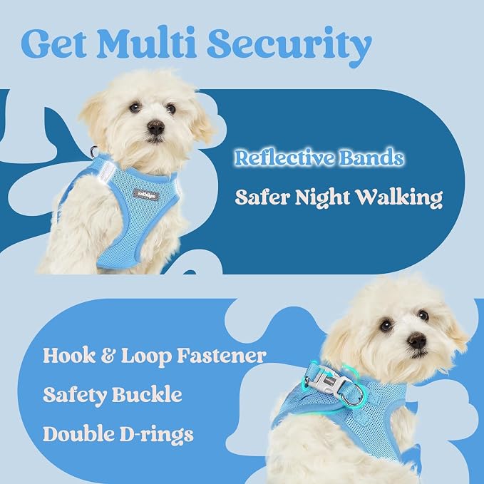 rabbitgoo Step-in Small Dog Harness, Puppy Vest for Small Sized Pet | Easy Put on and off, Lightweight, Soft, Breathable Quick-Dry Air Mesh for Comfortable Secure Walking, Blue XXXS