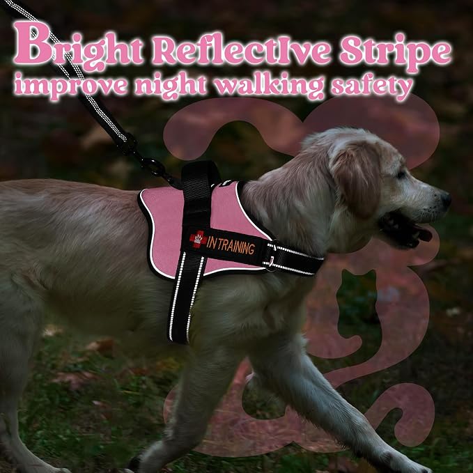 rabbitgoo No Pull No Choke Pet Vest, Adjustable Pet Harness with Molle | Large Sized Dog Harness, Reflective, Easy Wearing with One Buckle for Walking, Training, Pink, L