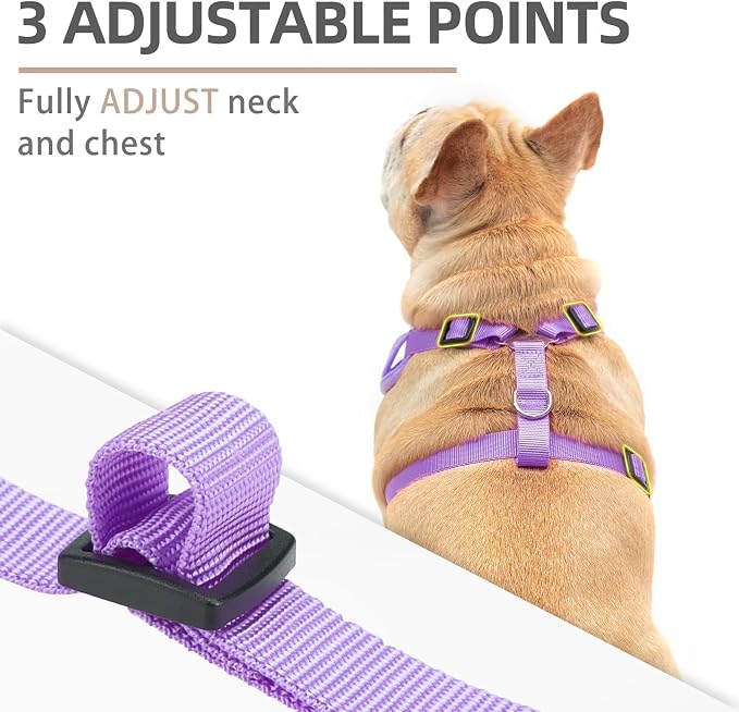 PUPTECK Small Dog Harness and Leash Set, No Pull Adjustable Puppy Cat Harness, Reflective Soft Mesh Pet Vest Small Sized, Purple, XS