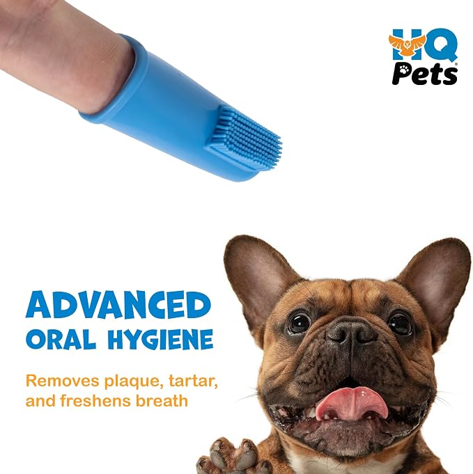HQ Finger Toothbrush for Pet, Set of 2 Convenient Oral Care for Your Furry Friend's Dental Health, Best Finger Toothbrush for Pets (Blue)