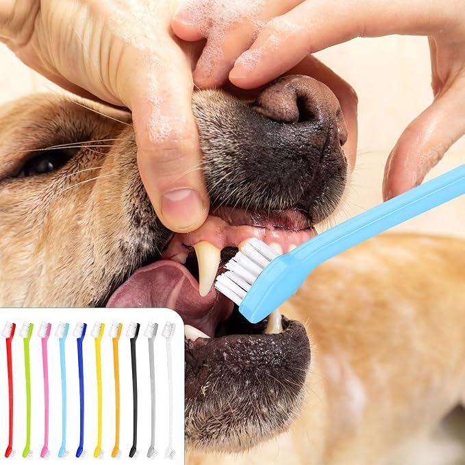 XIHIRCD 100pcs Dog Toothbrush Bulk, Dual Headed Soft Bristles Toothbrush Anti-Slip Cat Teeth Brush Easy Teeth Cleaning Dental Care Pet Toothbrush for Small and Large Dogs Cats Most Pets (10 Colors)
