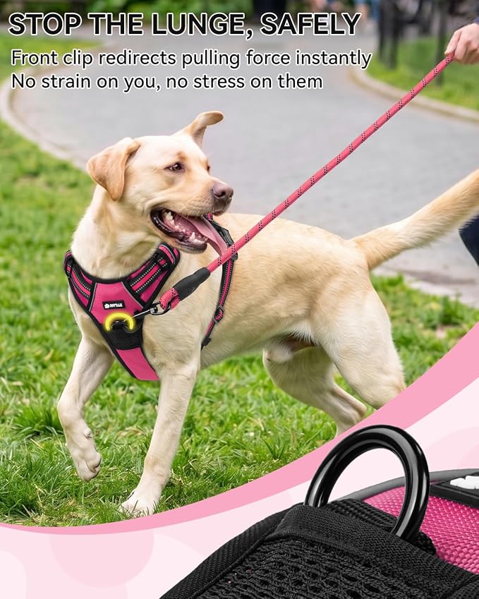 Joytale No Pull Dog Harness & Seat Belt, Easy On 3-Buckle, L, Hot Pink | Front Clip Reduces Pulling, Escape-Resistant Design, Adjustable Fit, Soft Padding for Comfort, Secure Tether for Safer Travel