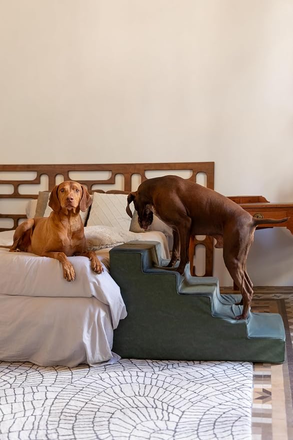 Noah & Paw Dog Stairs, Dog Ramp for Bed (20" Extra Wide) Pet Stairs for High Bed, Design to Fit Small and Large Breeds, Durable 5 Pet Steps for Couch (35 Foam Density) Leather Collection