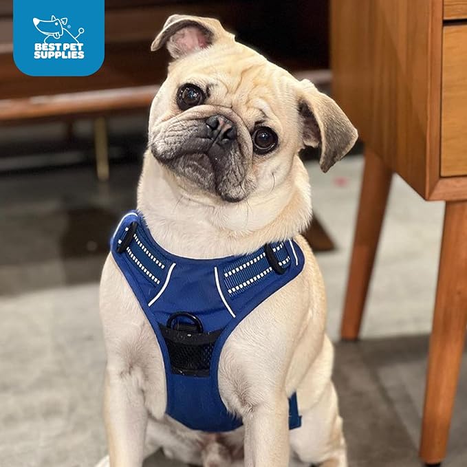 Voyager Dual Attachment No Pull Harness - Royal Blue, X-Small | 13 - 16" in Chest, No Pull Dog Harness, Fully Adjustable, 3M Reflective Technology, Front & Back D-Rings, Walking & Training