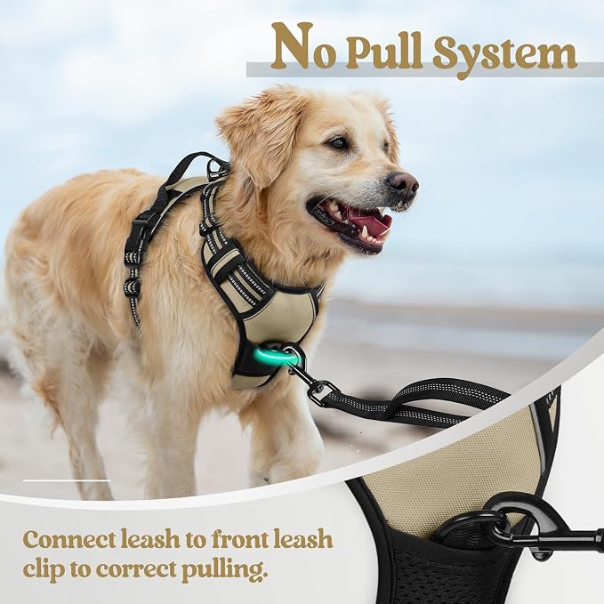 rabbitgoo Dog Harness, No Pull Medium Sized with 2 Leash Clips, Pet Vest | No Choke with Handle, Adjustable Soft Padded, Reflective, Easy Control for Walking, Beige, Medium